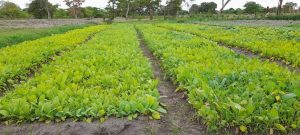 20221129_110923-300x135