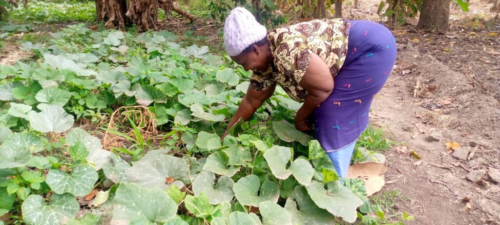 Meet SAPTA in Mission